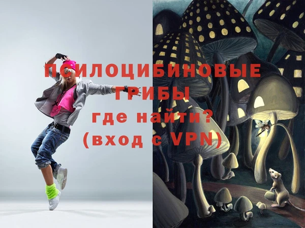 2c-b Гусь-Хрустальный