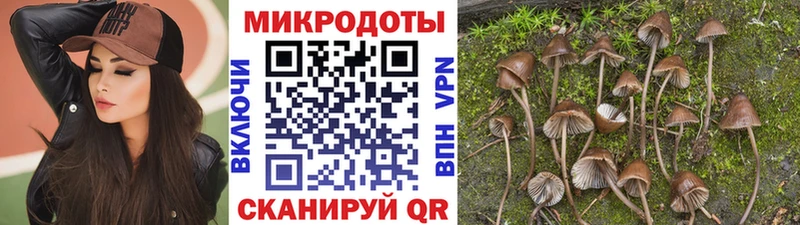 Псилоцибиновые грибы мухоморы  Дагестанские Огни 