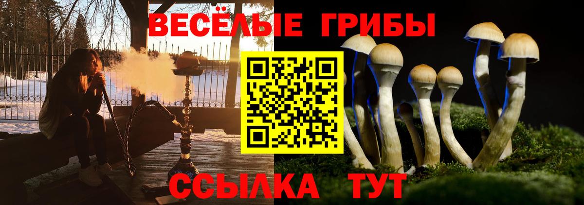 Галлюциногенные грибы GOLDEN TEACHER  Вход с VPN  Дагестанские Огни 